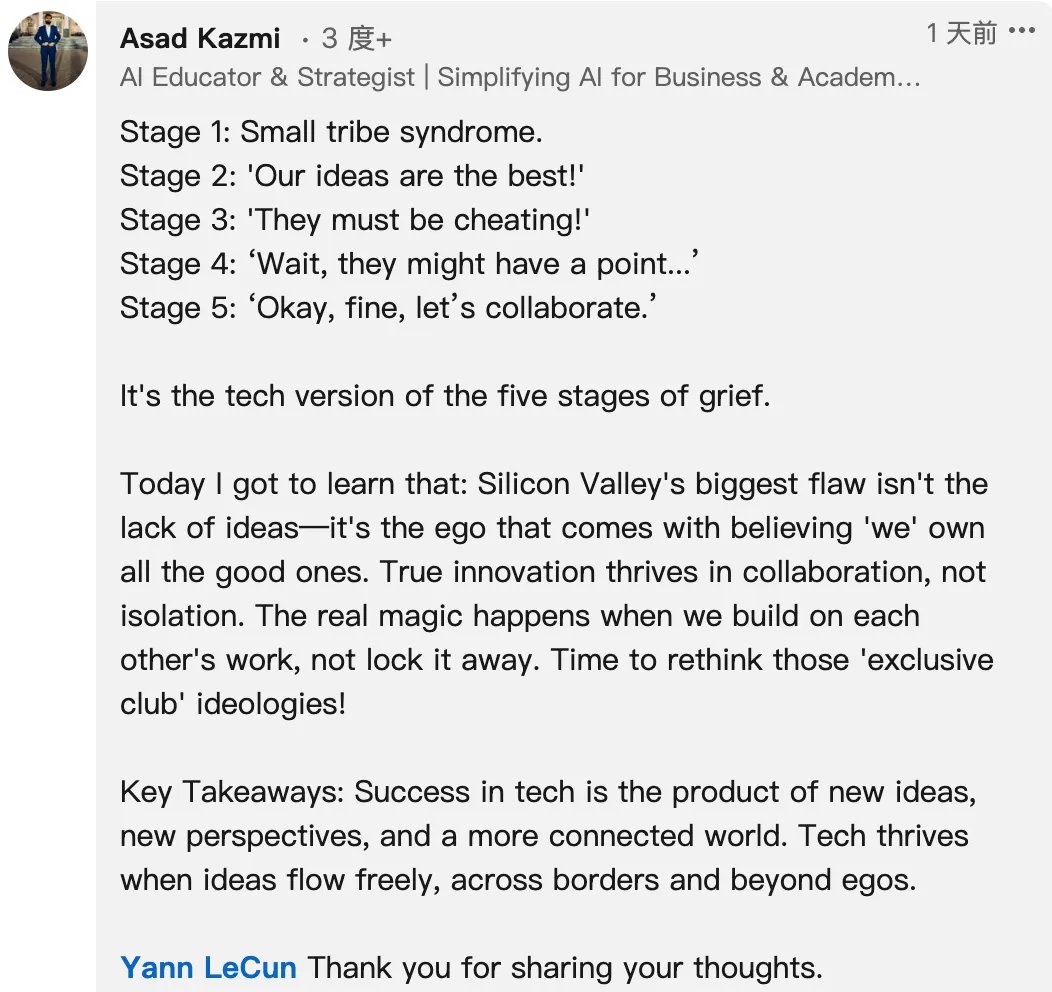 DeepSeek综合征?Yann LeCun:硅谷存在一种“错位的优越感”