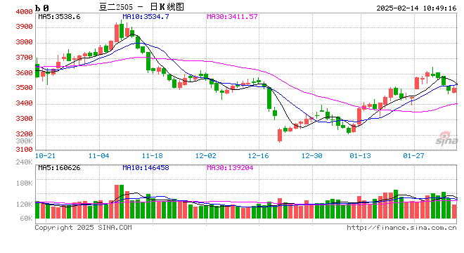 油脂有“料”:2024年大豆进口总量突破前高 非转进口减少