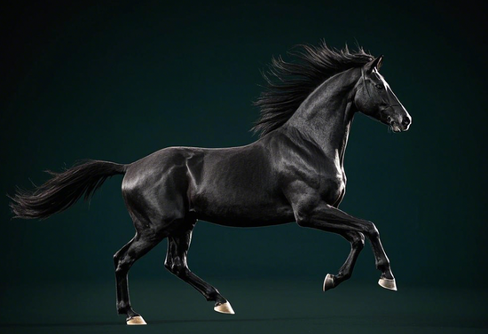 预亏超8000万!创业黑马收购版信通能否“一飞冲天”?