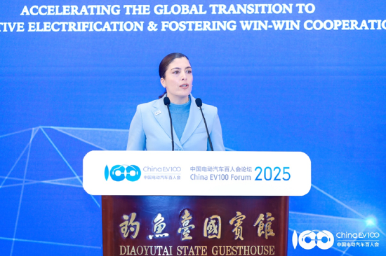 国际论坛顺利召开,共议全球汽车电动化合作、转型之策|百人会论坛2025