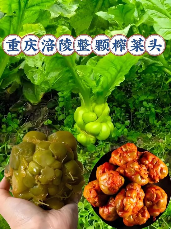 重庆食品带头大哥:连续两年业绩不增长,巴渝食企困境何解?