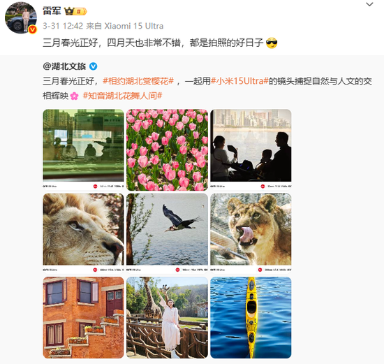 小米雷军的个人IP是一把“双刃剑”,其他企业家不学也罢!