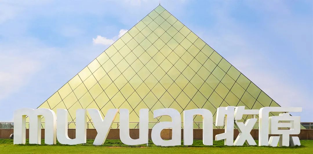 河南养猪巨头,3个月净赚超40亿