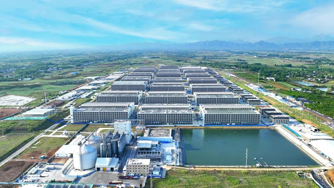 河南养猪巨头,3个月净赚超40亿