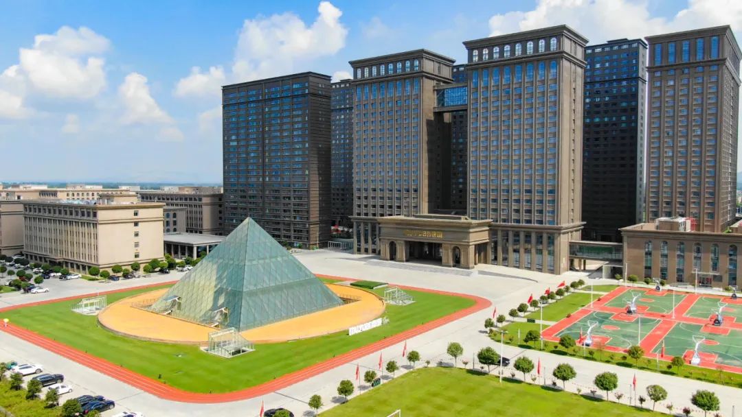 河南养猪巨头,3个月净赚超40亿