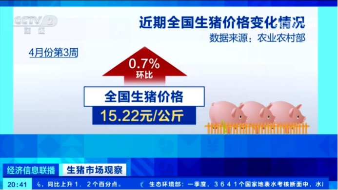 出栏了!头均可赚150-200,五一备货提振猪价