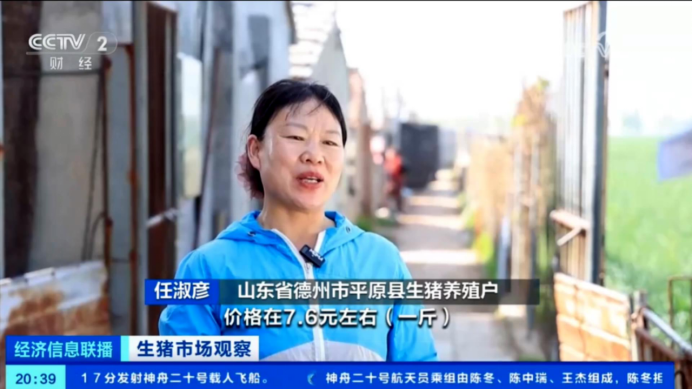 出栏了!头均可赚150-200,五一备货提振猪价