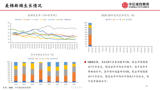 【棉花纺谈】供应端阶段性缩量 疆棉基差坚挺