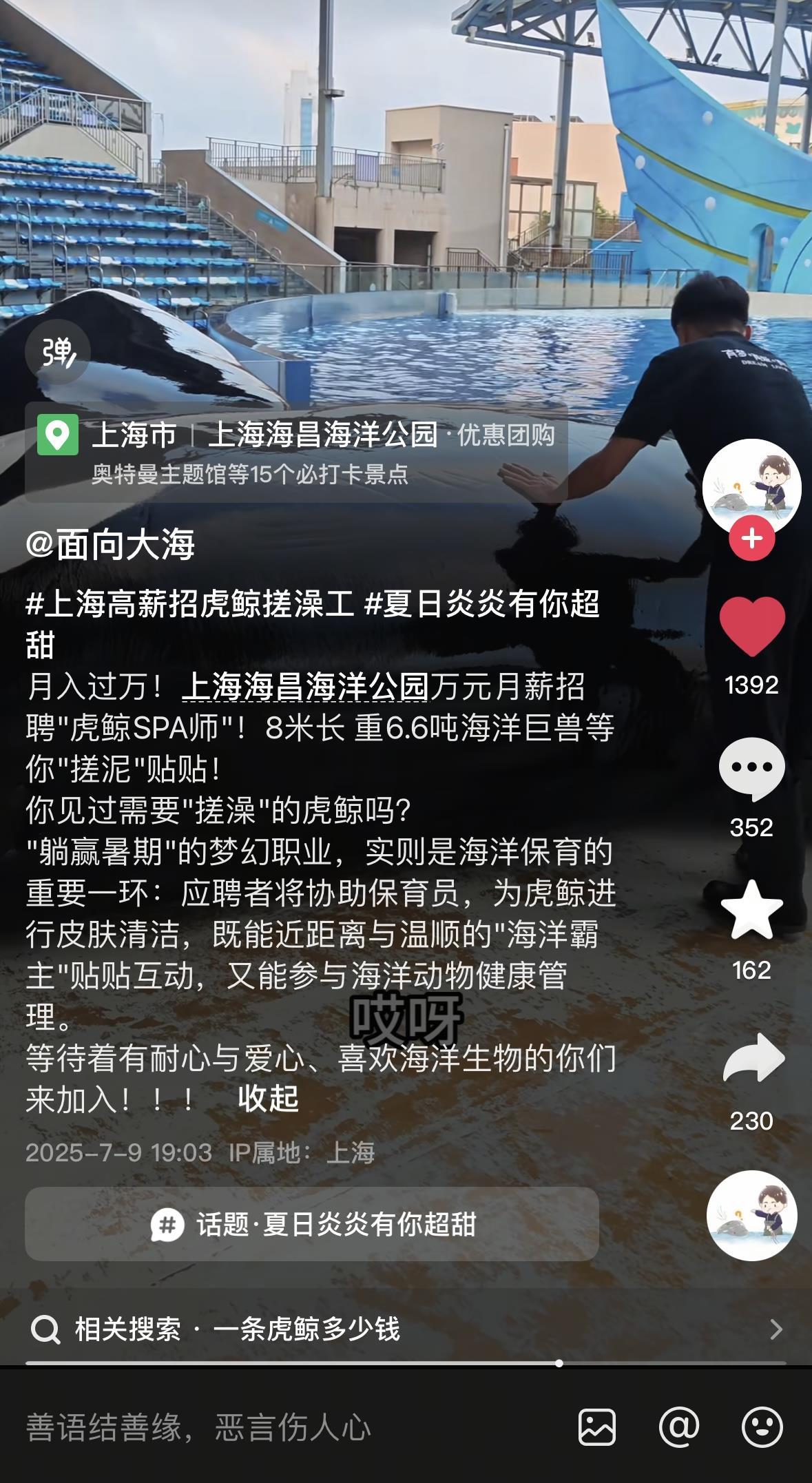 上海一海洋公园“万元招聘虎鲸搓澡师”?园方回应