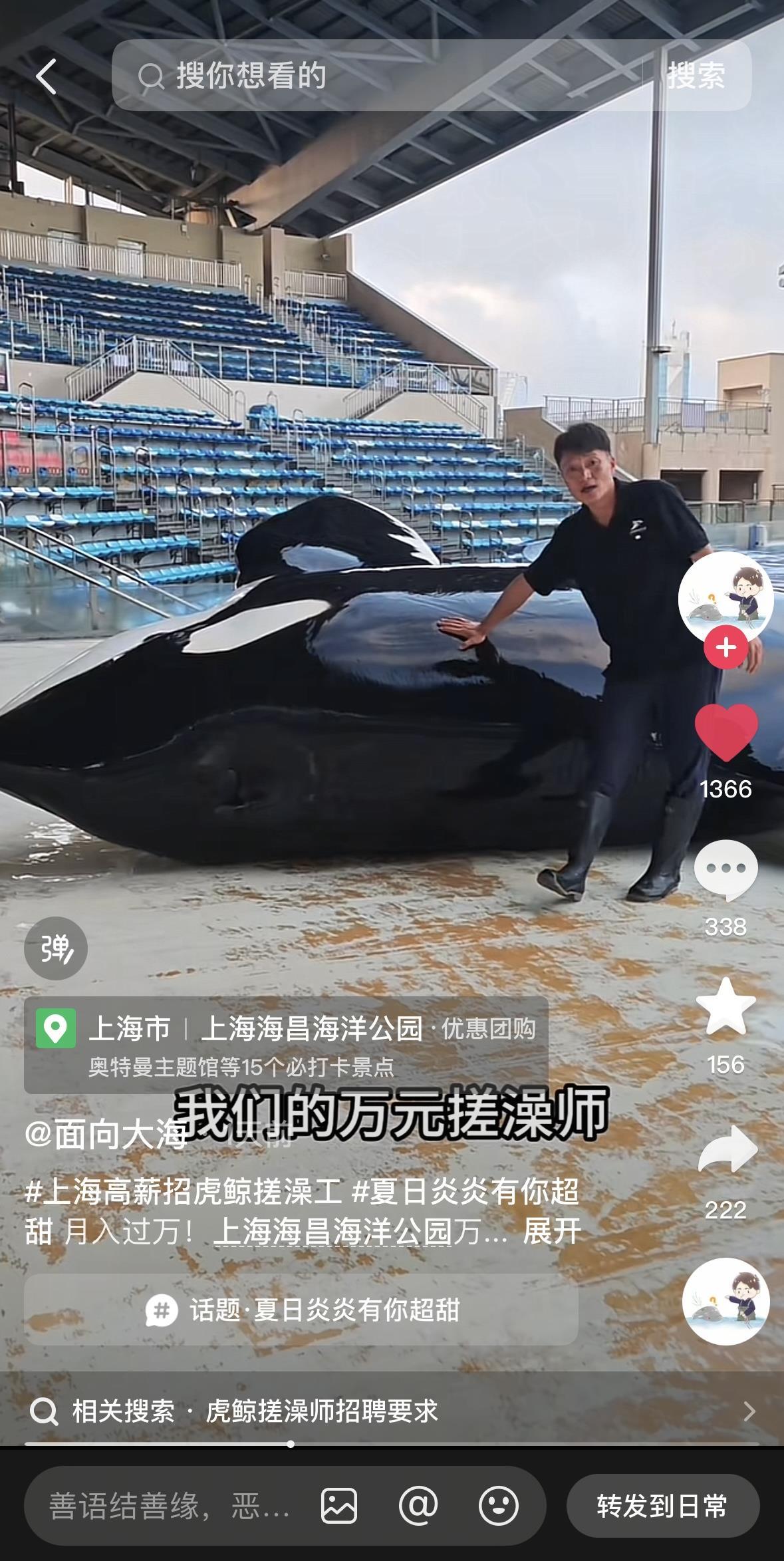 上海一海洋公园“万元招聘虎鲸搓澡师”?园方回应