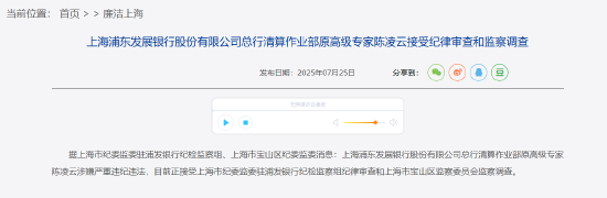 浦发银行总行清算作业部原高级专家陈凌云被查