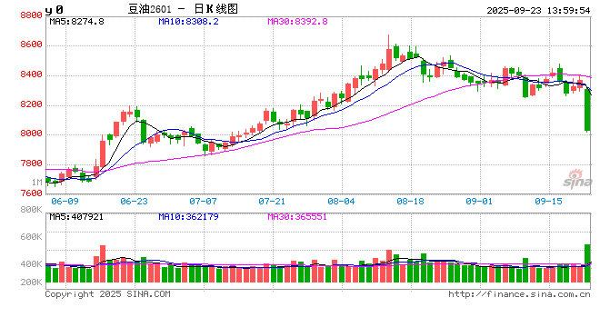 午评|国内期货主力合约跌多涨少 豆二跌超4%