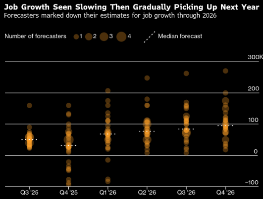 经济学家下调到2026年底美国就业增长预期 助长美联储降息猜测