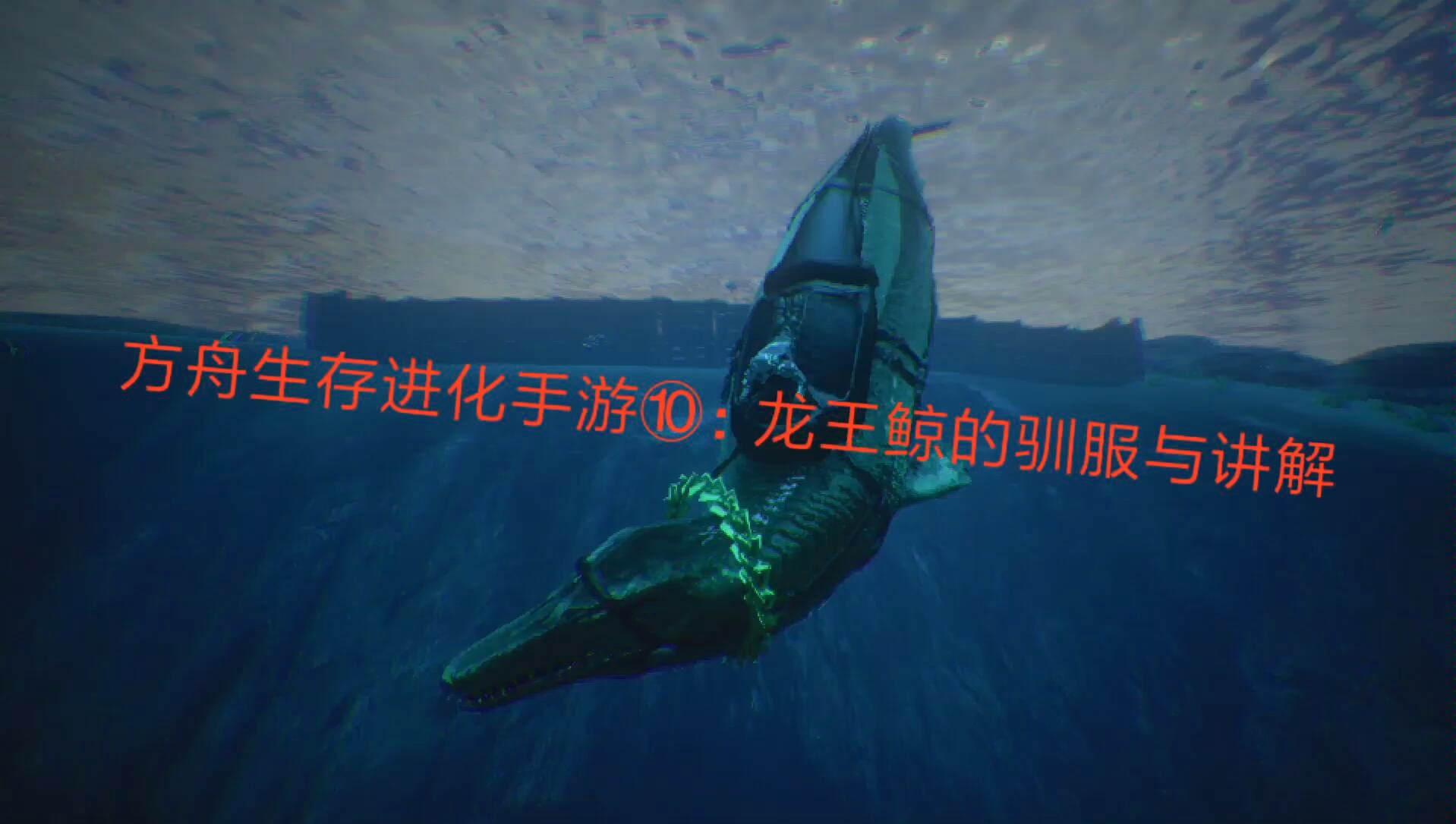 驯服龙王鲸需要什么条件