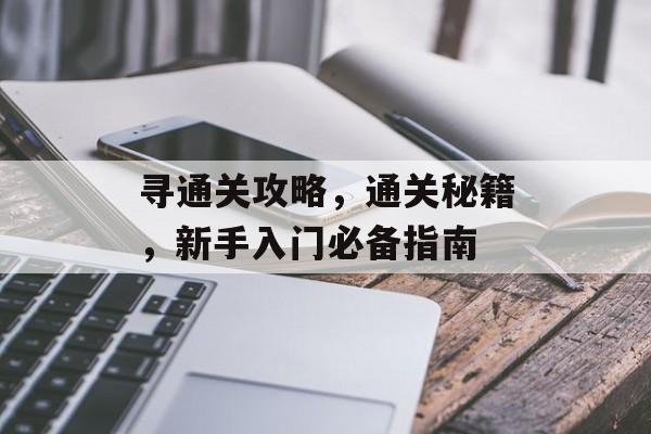寻通关攻略,通关秘籍,新手入门必备指南 寻通关攻略,通关秘籍,新手入门必备指南