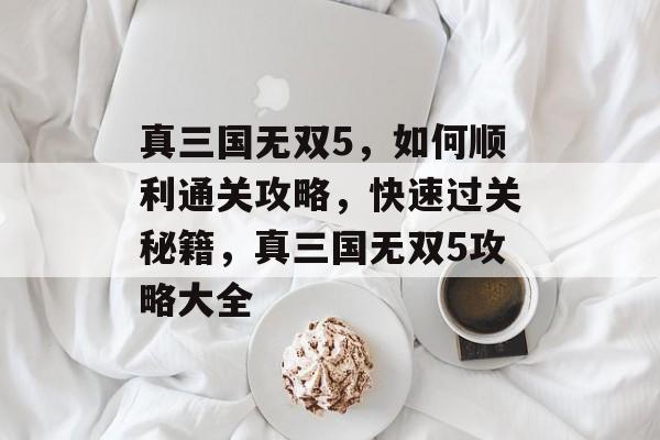 真三国无双5，如何顺利通关攻略，快速过关秘籍，真三国无双5攻略大全