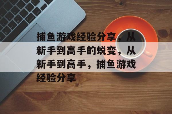 捕鱼游戏经验分享，从新手到高手的蜕变，从新手到高手，捕鱼游戏经验分享