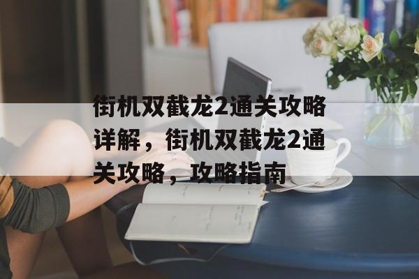 街机双截龙2通关攻略详解，街机双截龙2通关攻略，攻略指南