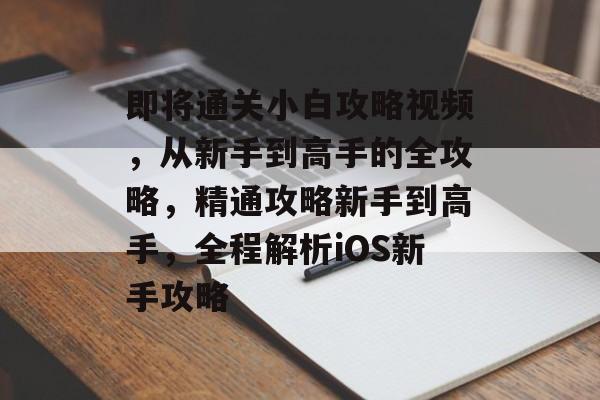 即将通关小白攻略视频,从新手到高手的全攻略,精通攻略新手到高手,全程解析iOS新手攻略 即将通关小白攻略视频,从新手到高手的全攻略,精通攻略新手到高手,全程解析iOS新手攻略