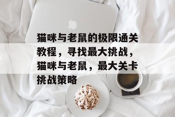 猫咪与老鼠的极限通关教程,寻找最大挑战,猫咪与老鼠,最大关卡挑战策略 猫咪与老鼠的极限通关教程,寻找最大挑战,猫咪与老鼠,最大关卡挑战策略