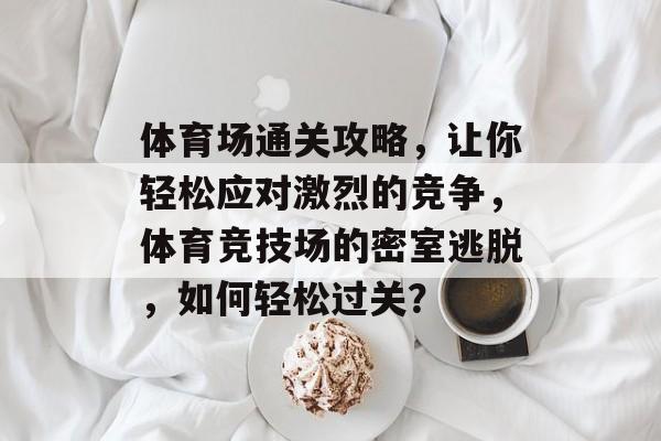体育场通关攻略，让你轻松应对激烈的竞争，体育竞技场的密室逃脱，如何轻松过关？