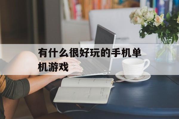 有什么很好玩的手机单机游戏