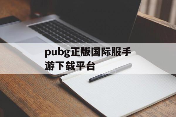 pubg正版国际服手游下载平台