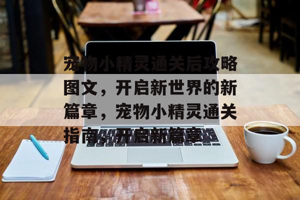 宠物小精灵通关后攻略图文，开启新世界的新篇章，宠物小精灵通关指南，开启新篇章