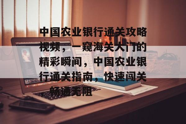 中国农业银行通关攻略视频,一窥海关大门的精彩瞬间,中国农业银行通关指南,快速闯关,畅通无阻 中国农业银行通关攻略视频,一窥海关大门的精彩瞬间,中国农业银行通关指南,快速闯关,畅通无阻