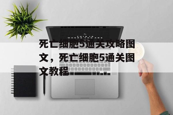 死亡细胞5通关攻略图文,死亡细胞5通关图文教程 死亡细胞5通关攻略图文,死亡细胞5通关图文教程