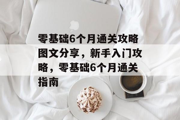 零基础6个月通关攻略图文分享，新手入门攻略，零基础6个月通关指南