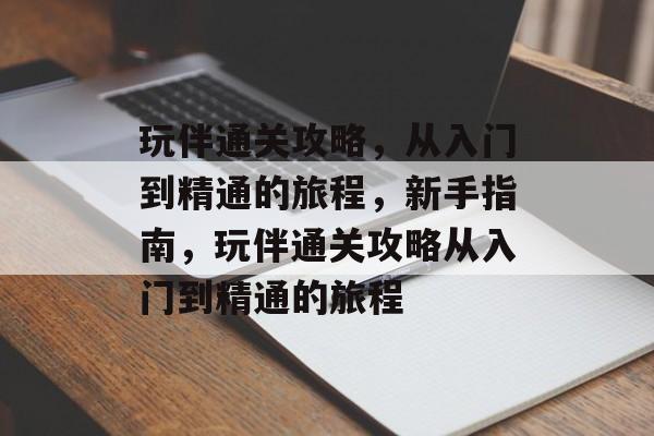 玩伴通关攻略，从入门到精通的旅程，新手指南，玩伴通关攻略从入门到精通的旅程