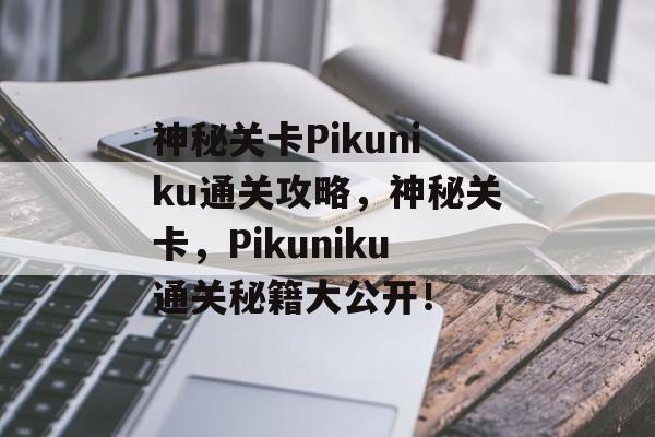 神秘关卡Pikuniku通关攻略，神秘关卡，Pikuniku通关秘籍大公开！