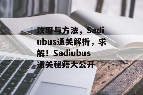 攻略与方法,Sadiubus通关解析,求解!Sadiubus通关秘籍大公开 攻略与方法,Sadiubus通关解析,求解!Sadiubus通关秘籍大公开