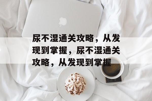 尿不湿通关攻略，从发现到掌握，尿不湿通关攻略，从发现到掌握