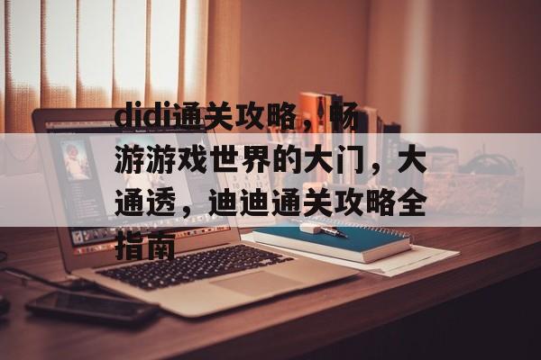 didi通关攻略，畅游游戏世界的大门，大通透，迪迪通关攻略全指南