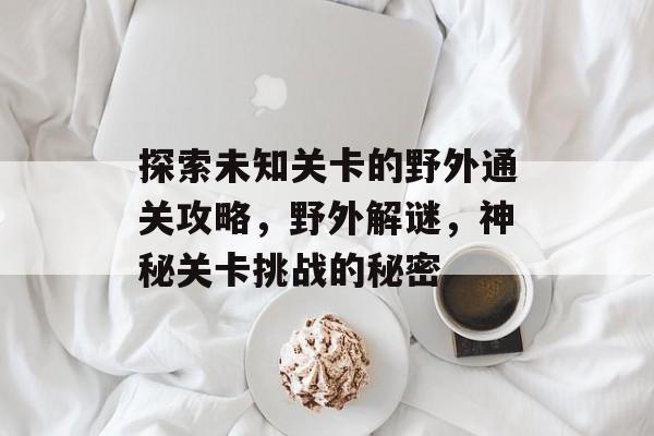 探索未知关卡的野外通关攻略，野外解谜，神秘关卡挑战的秘密
