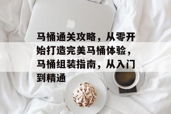 马桶通关攻略，从零开始打造完美马桶体验，马桶组装指南，从入门到精通