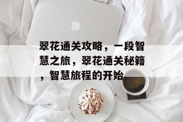 翠花通关攻略，一段智慧之旅，翠花通关秘籍，智慧旅程的开始