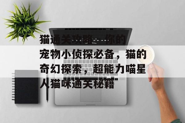 猫通关攻略 - 你的宠物小侦探必备,猫的奇幻探索,超能力喵星人猫咪通关秘籍 猫通关攻略 - 你的宠物小侦探必备,猫的奇幻探索,超能力喵星人猫咪通关秘籍