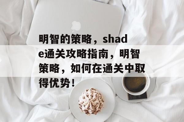 明智的策略，shade通关攻略指南，明智策略，如何在通关中取得优势！