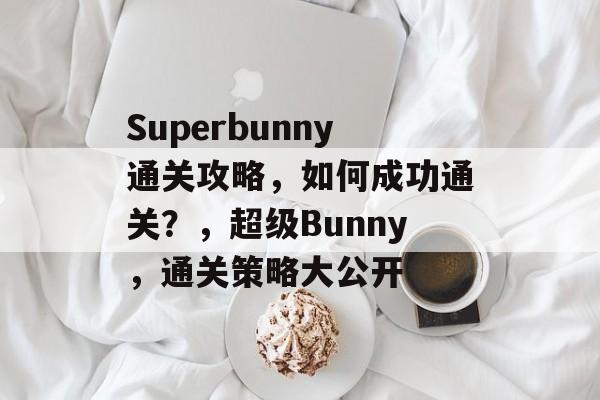 Superbunny通关攻略,如何成功通关?,超级Bunny,通关策略大公开 Superbunny通关攻略,如何成功通关?,超级Bunny,通关策略大公开