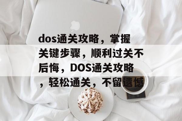 dos通关攻略，掌握关键步骤，顺利过关不后悔，DOS通关攻略，轻松通关，不留遗憾