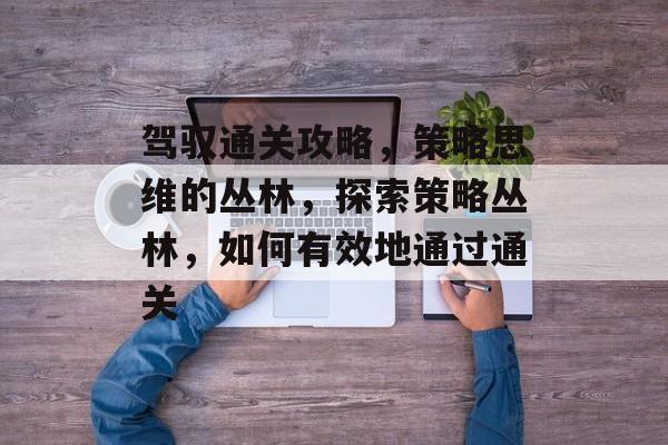 驾驭通关攻略,策略思维的丛林,探索策略丛林,如何有效地通过通关 驾驭通关攻略,策略思维的丛林,探索策略丛林,如何有效地通过通关