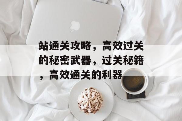 站通关攻略，高效过关的秘密武器，过关秘籍，高效通关的利器