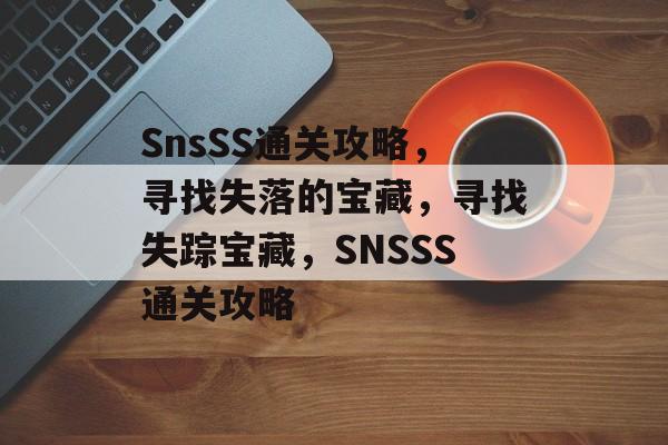 SnsSS通关攻略，寻找失落的宝藏，寻找失踪宝藏，SNSSS通关攻略