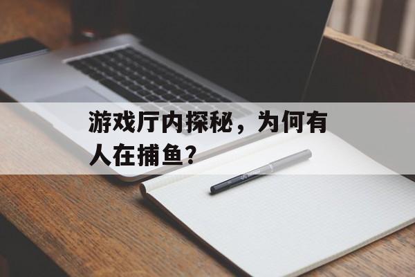 游戏厅内探秘，为何有人在捕鱼？