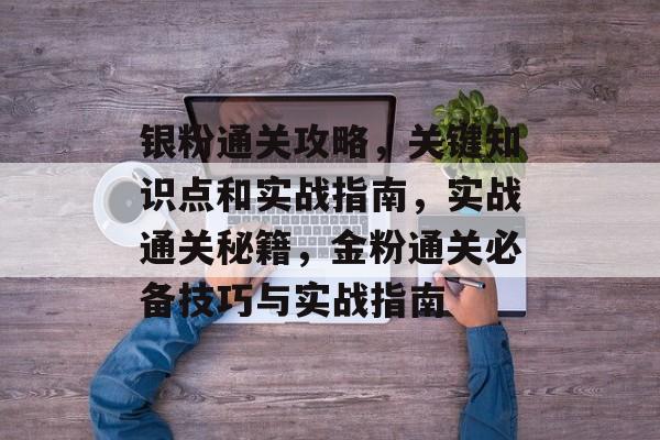 银粉通关攻略,关键知识点和实战指南,实战通关秘籍,金粉通关必备技巧与实战指南 银粉通关攻略,关键知识点和实战指南,实战通关秘籍,金粉通关必备技巧与实战指南