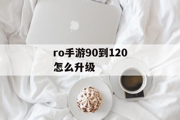 ro手游90到120怎么升级 ro手游90到120怎么升级