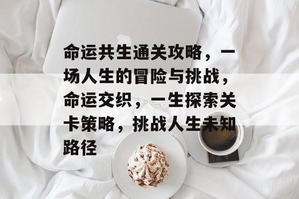 命运共生通关攻略，一场人生的冒险与挑战，命运交织，一生探索关卡策略，挑战人生未知路径